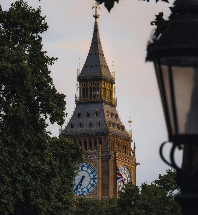 pexels-njeromin-15247383